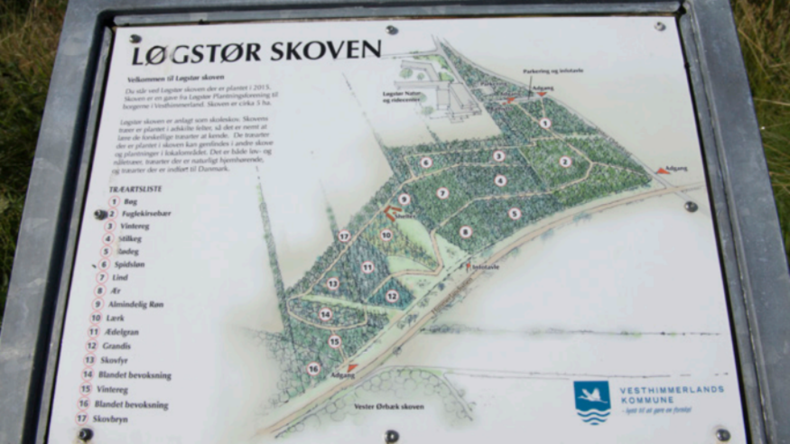 Shelter Vester Ørbæk