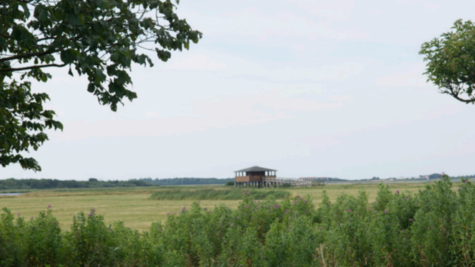 Shelter Vilsted Sø, Holmen