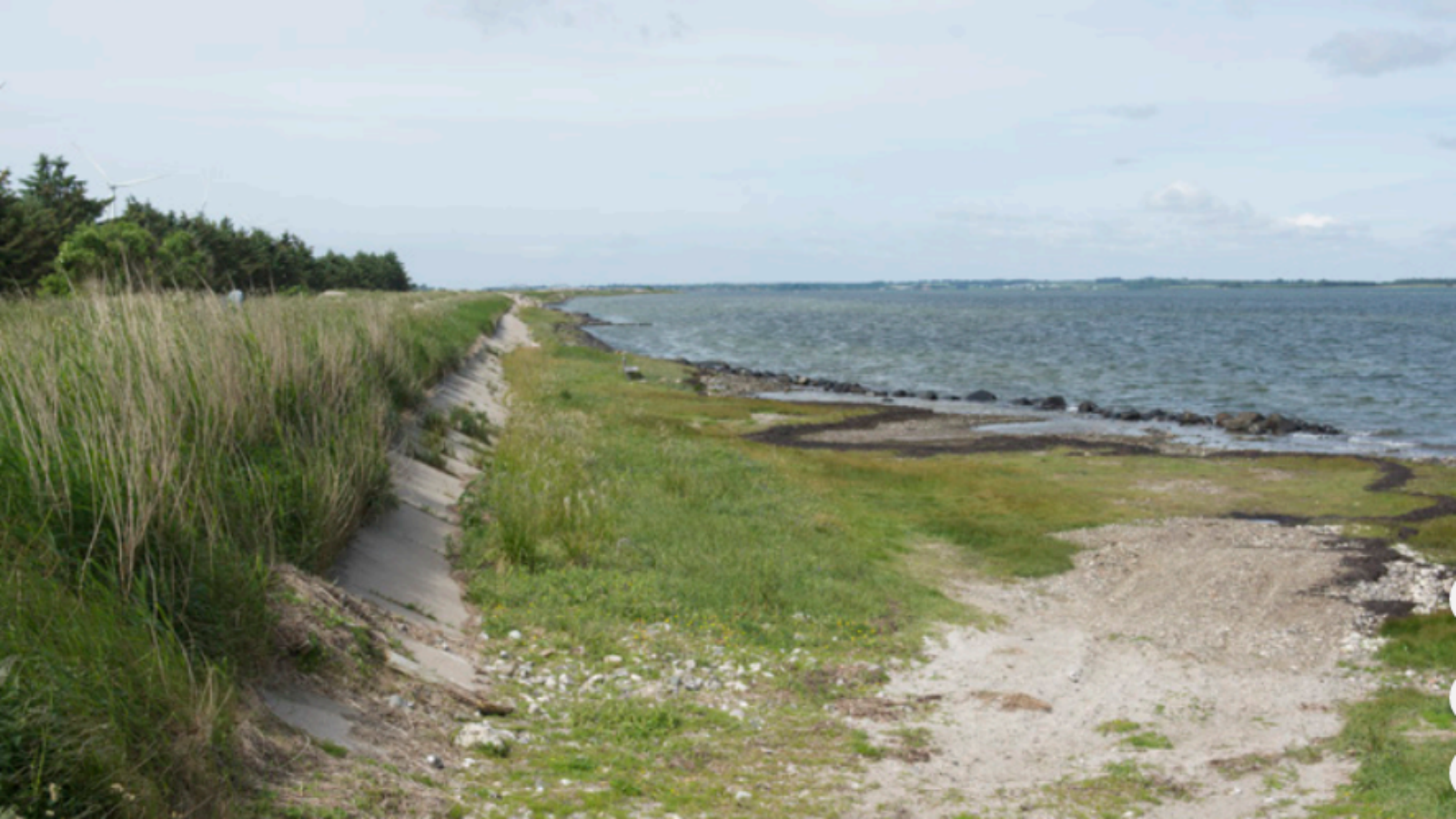 Shelter Limfjorden