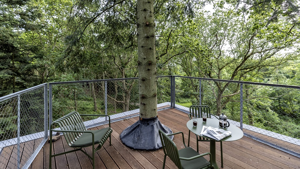 Løvtag - tree tops in Als