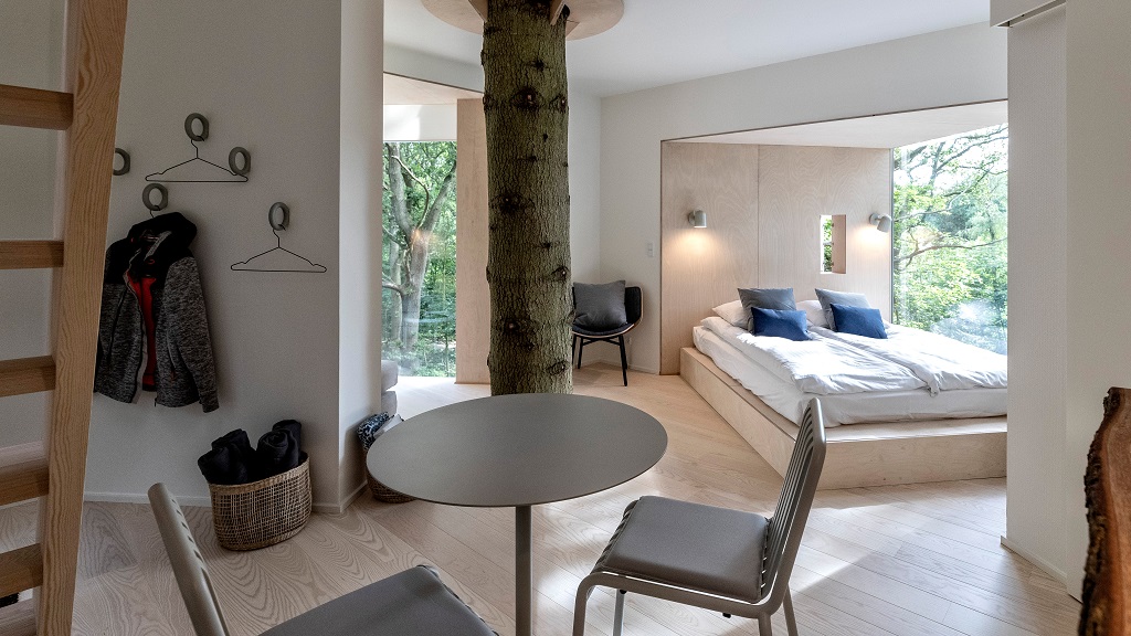 Løvtag - tree tops in Als