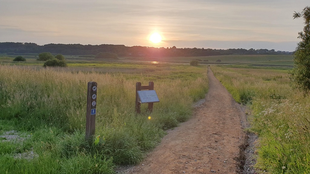 Nature path by Fyrkat Engsø in Hobro
