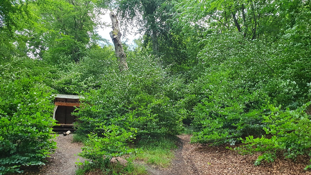 Sheltersite at Ørnedalsbugten, Hobro