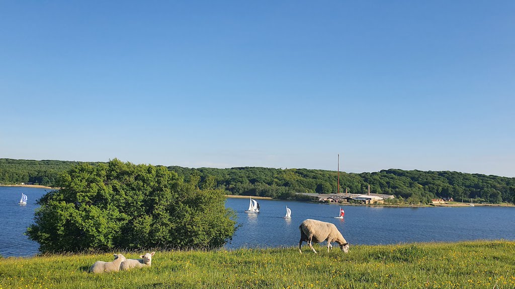 The Panorama-Route in Mariagerfjord