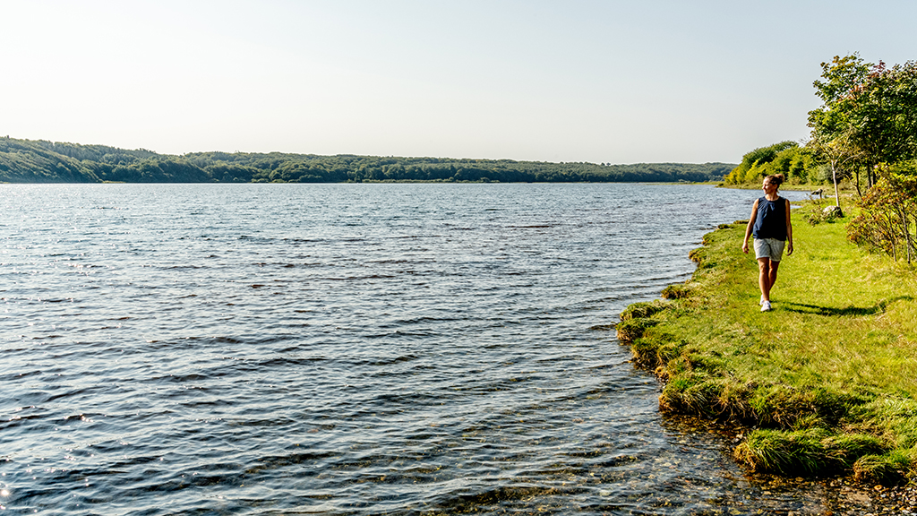 The Panorama-Route in Mariagerfjord