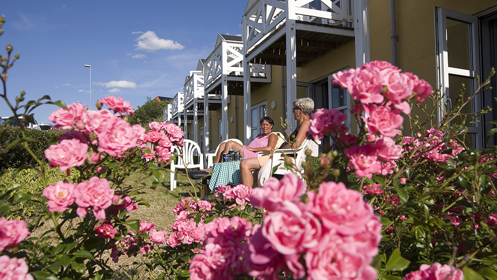 Hvalpsund Færgekro, Hotel