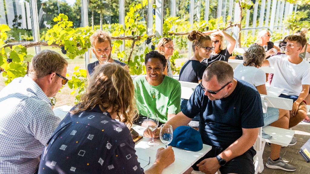 Accommodation at Glenholm Vingård