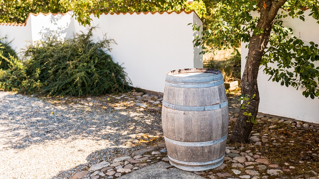 Accommodation at Glenholm Vingård