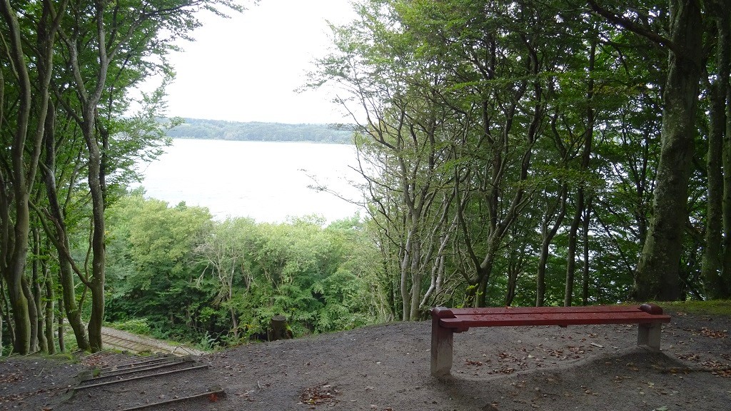 Frydensbjerg Route - Hike in Mariager (3 km)