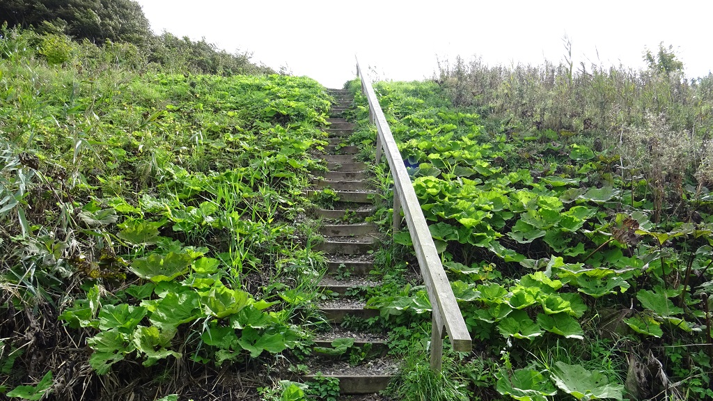 Frydensbjerg Route - Hike in Mariager (3 km)