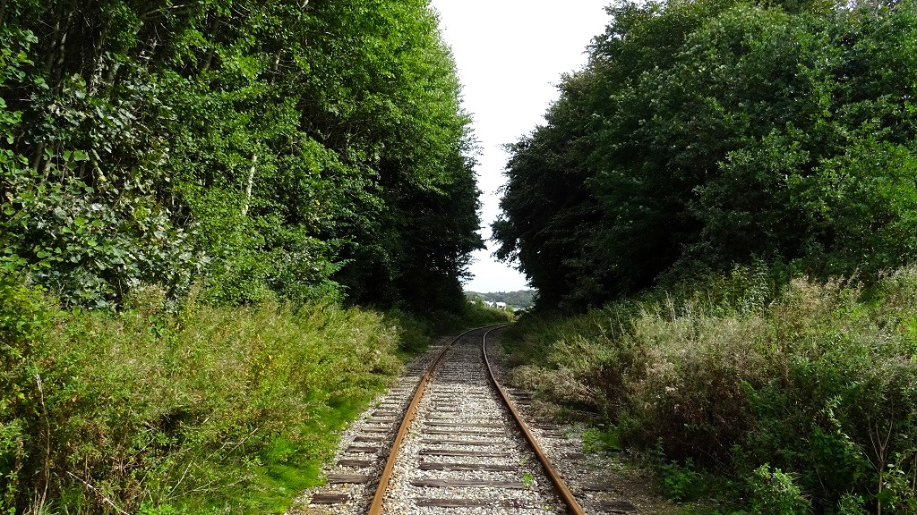 Frydensbjerg Route - Hike in Mariager (3 km)