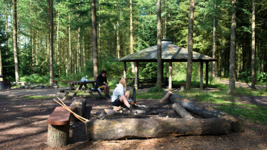 Jenle-Søttrup Plantation