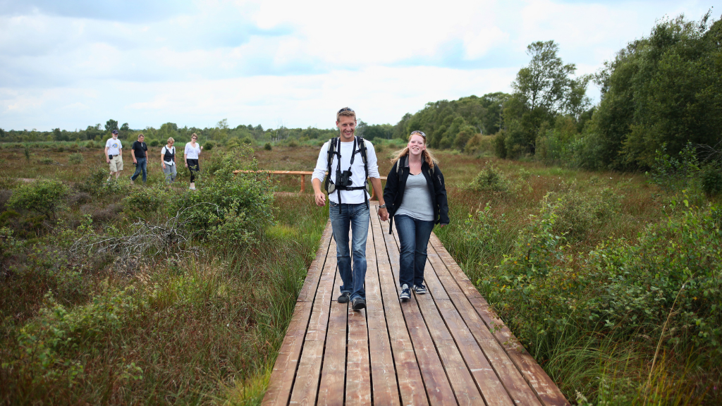 Boardwalk in Lille Vildmose
