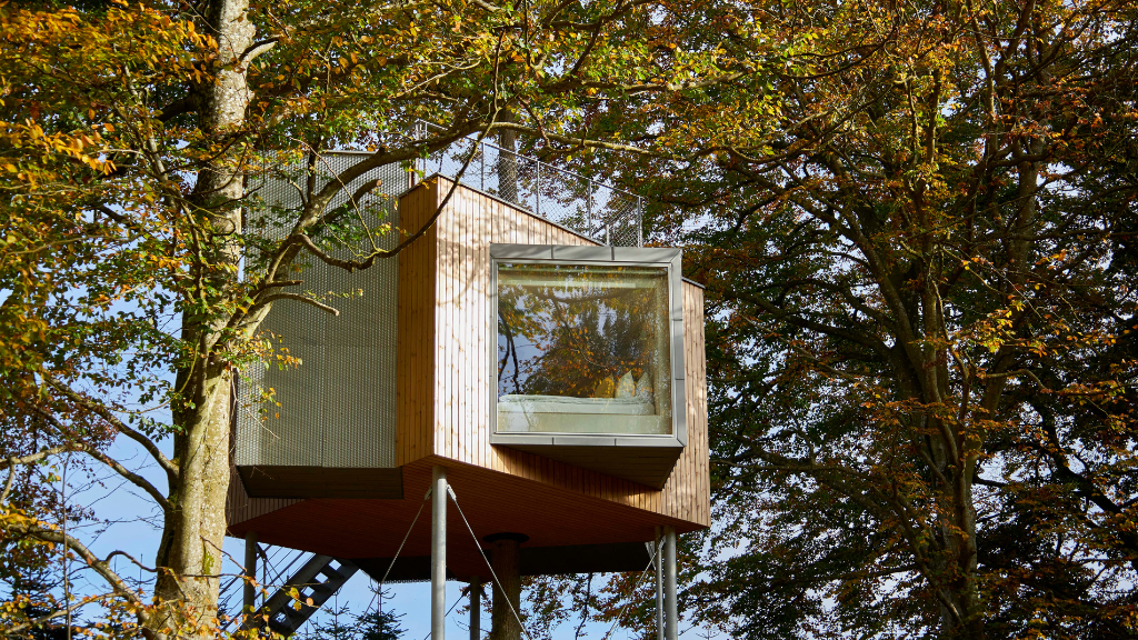 Løvtag in the forest