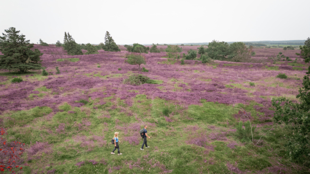 Digterrute på De Himmerlandske Heder