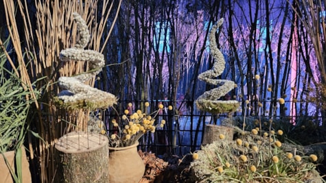 Naturudstillingen Danmark på GASmuseet i Hobro