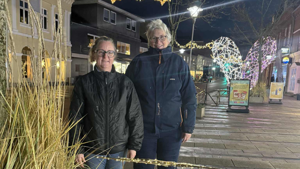 Naturudstilling De Kreative Frivillige Løgstør