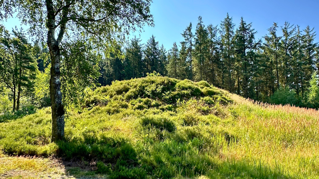 Uhrehøje Plantage, gravhøj