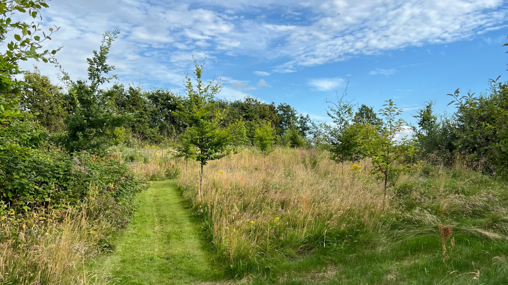Møllehuset i Tolstrup