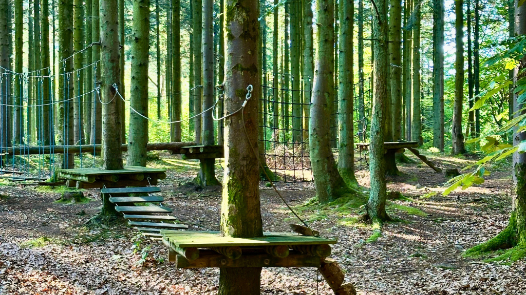 Uhrehøje Plantation, Yellow Route, Climbing Course