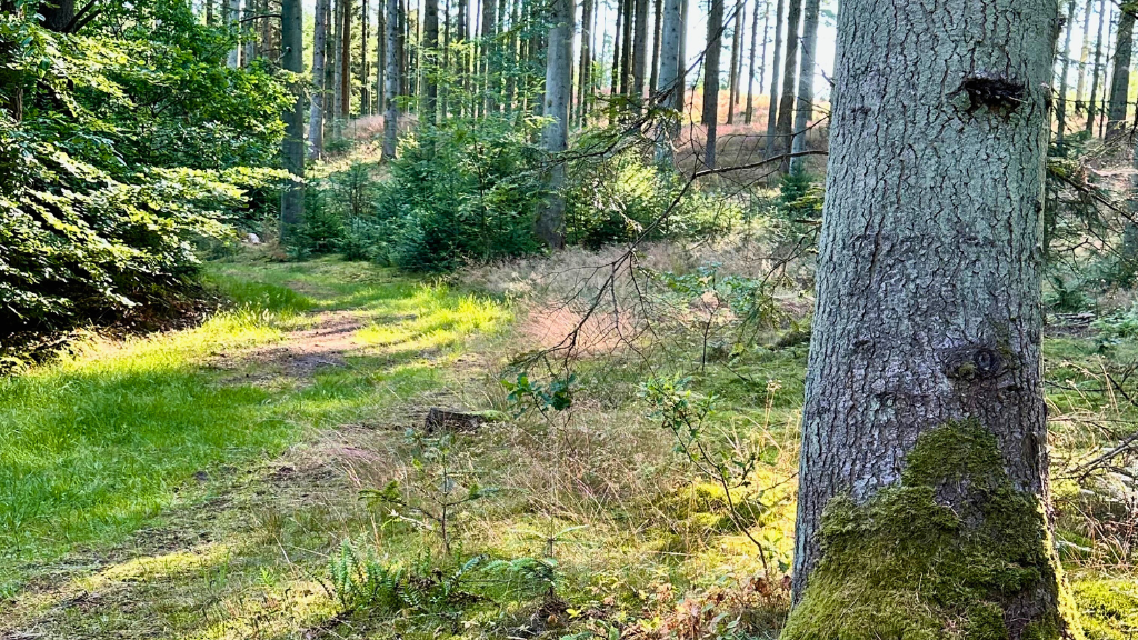 Uhrehøje Plantation, Yellow Route