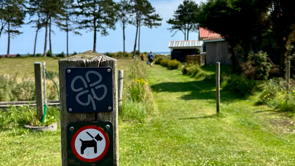 ØH sort rute, indhegning med dyr