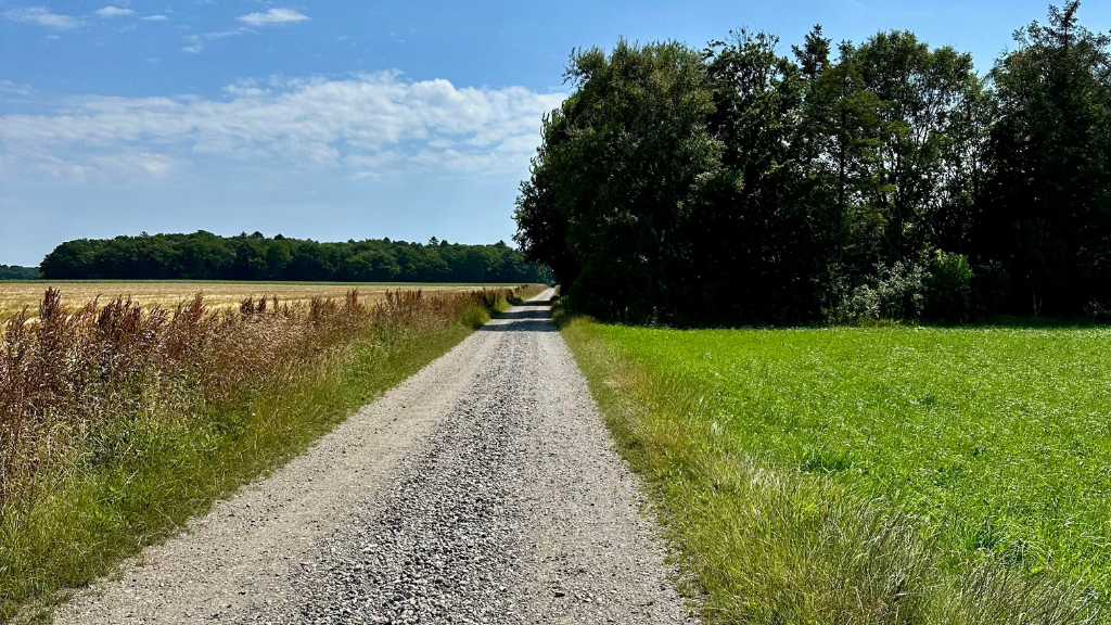 ØH sort rute, grusvej