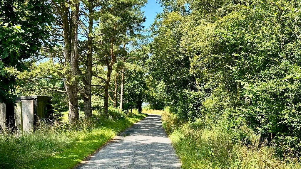 ØH sort rute, asfalt