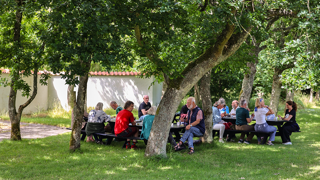 Nordic Folk Festival