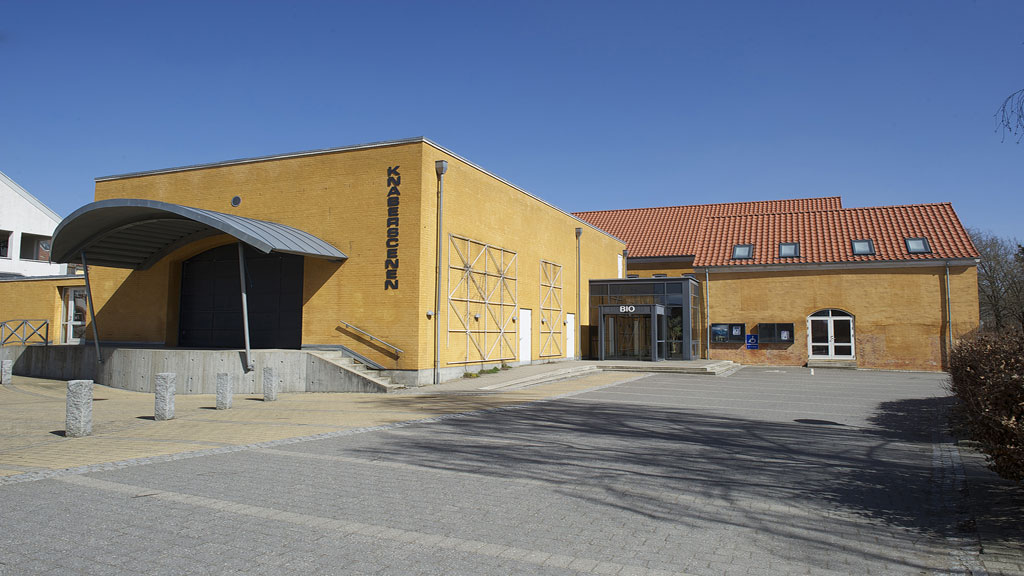 Aalestrup Library