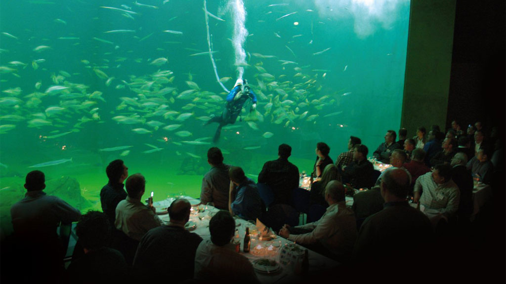 Middag under vandet Oceanarium
