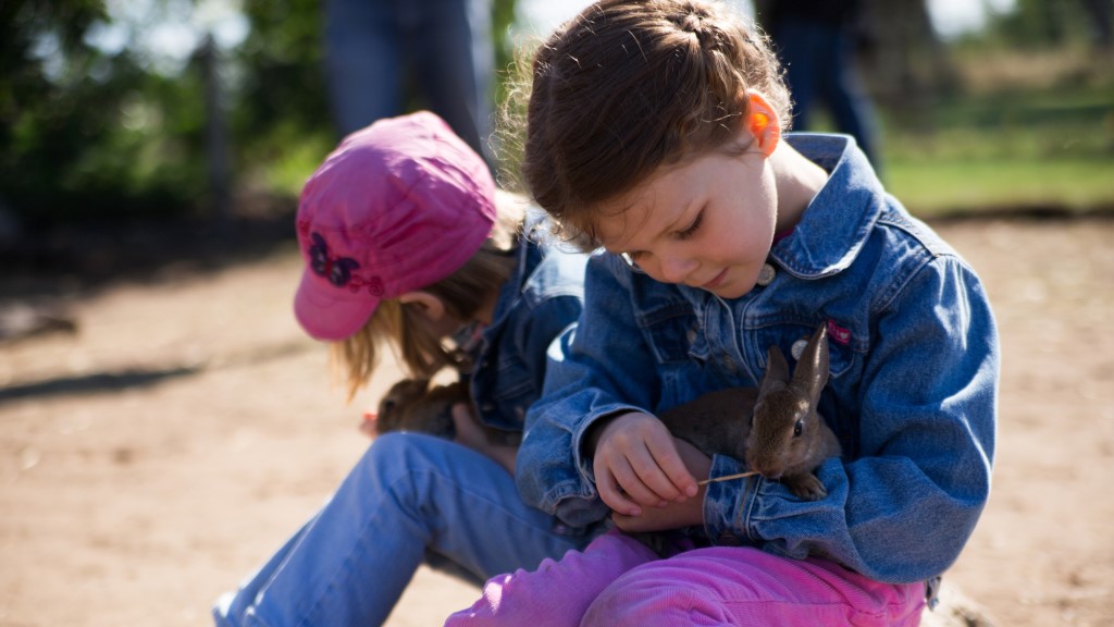 Nymarksminde Farm Holidays