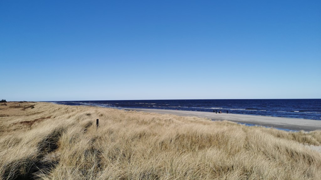 Glamping Skovgaardsminde