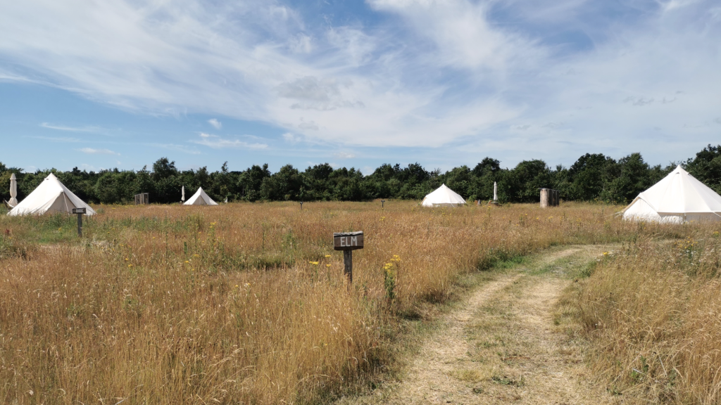 Glamping Skovgaardsminde