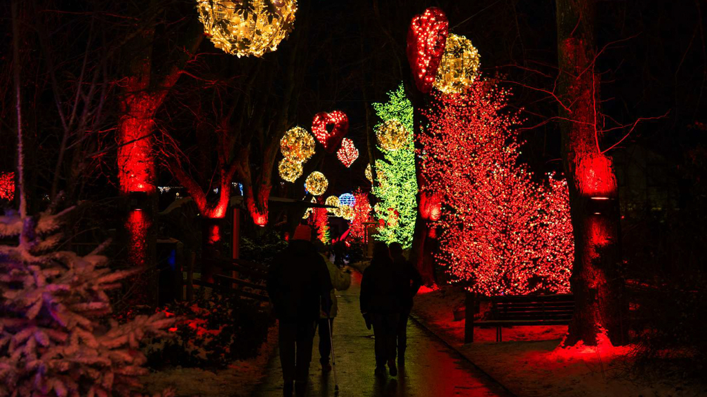 Christmas in the Zoo