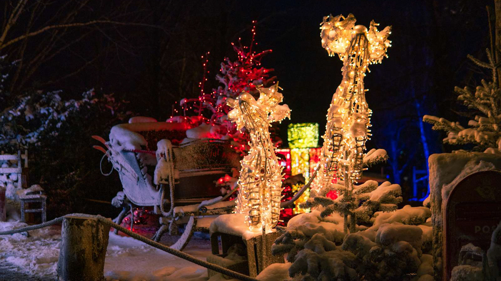 Christmas in the Zoo