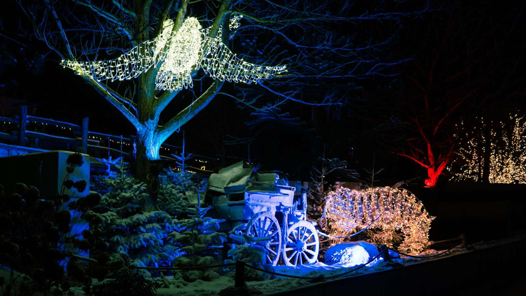 Christmas in the Zoo