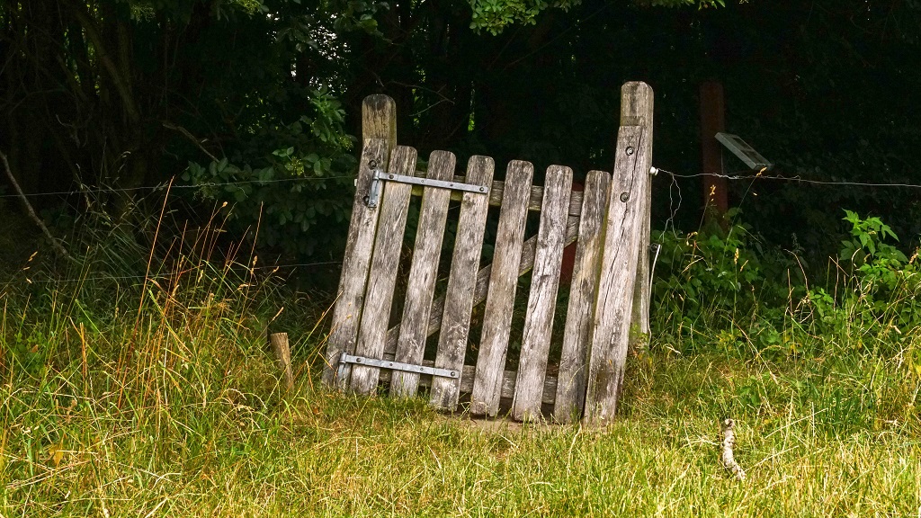Hiking: Søheden forest - 1 km -3,3 km