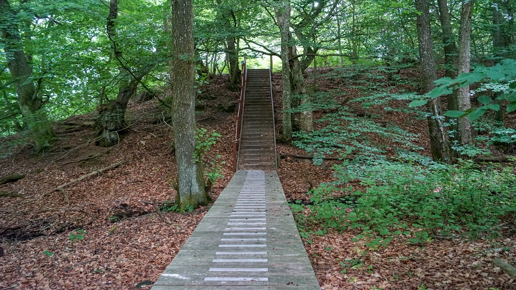Hiking: Søheden forest - 1 km -3,3 km