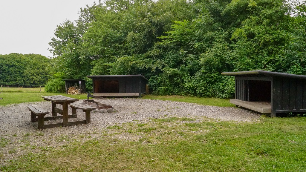 Hiking: Søheden forest - 1 km -3,3 km