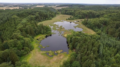 The sea marsh seen from a bird's eye view