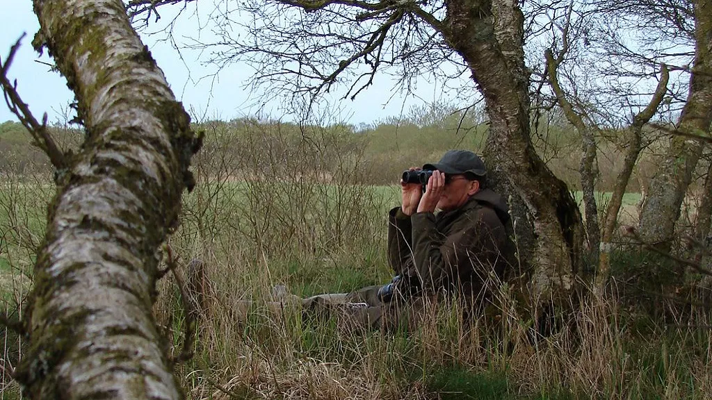 Store Vildmose High Bog