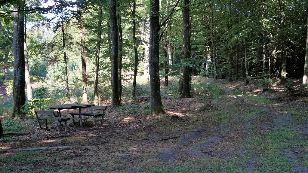 Hiking route: Dronninglund Storskov - 3.5 km or 6 km "mountain range"