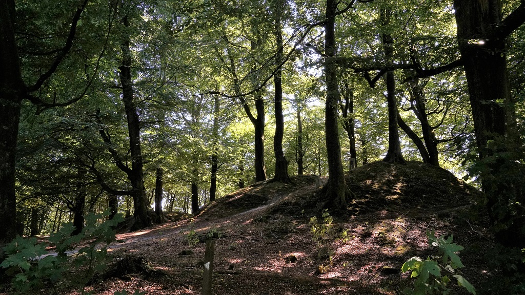 Hiking route: Dronninglund Storskov - 3.5 km or 6 km "mountain range"