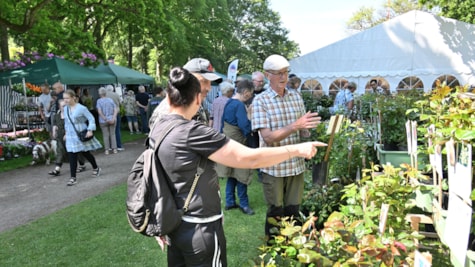 Bangsbo Blomsterfestival