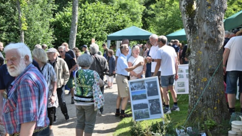 Bangsbo Blomsterfestival