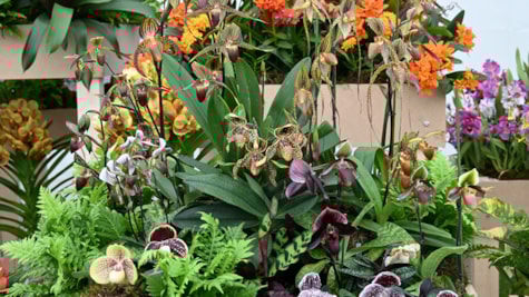 Bangsbo Blomsterfestival