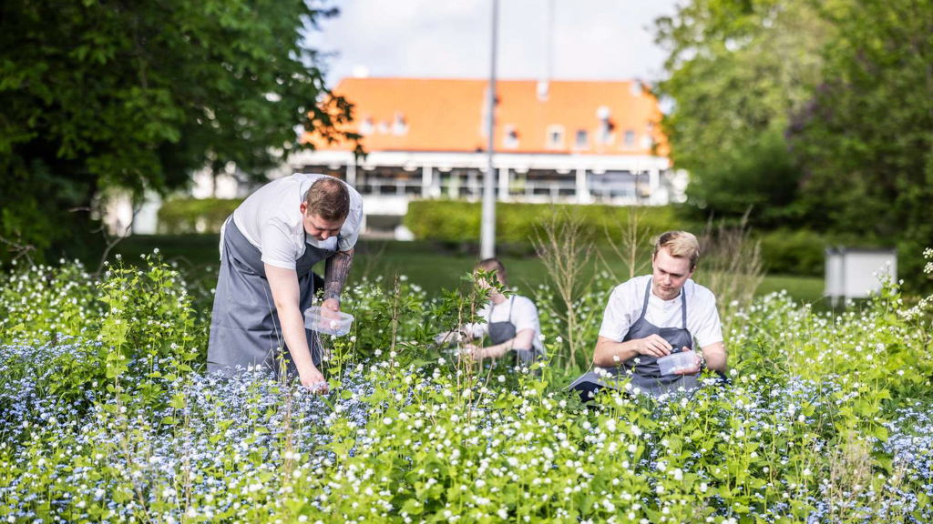 Scheelsminde, Restaurant Bühlmann