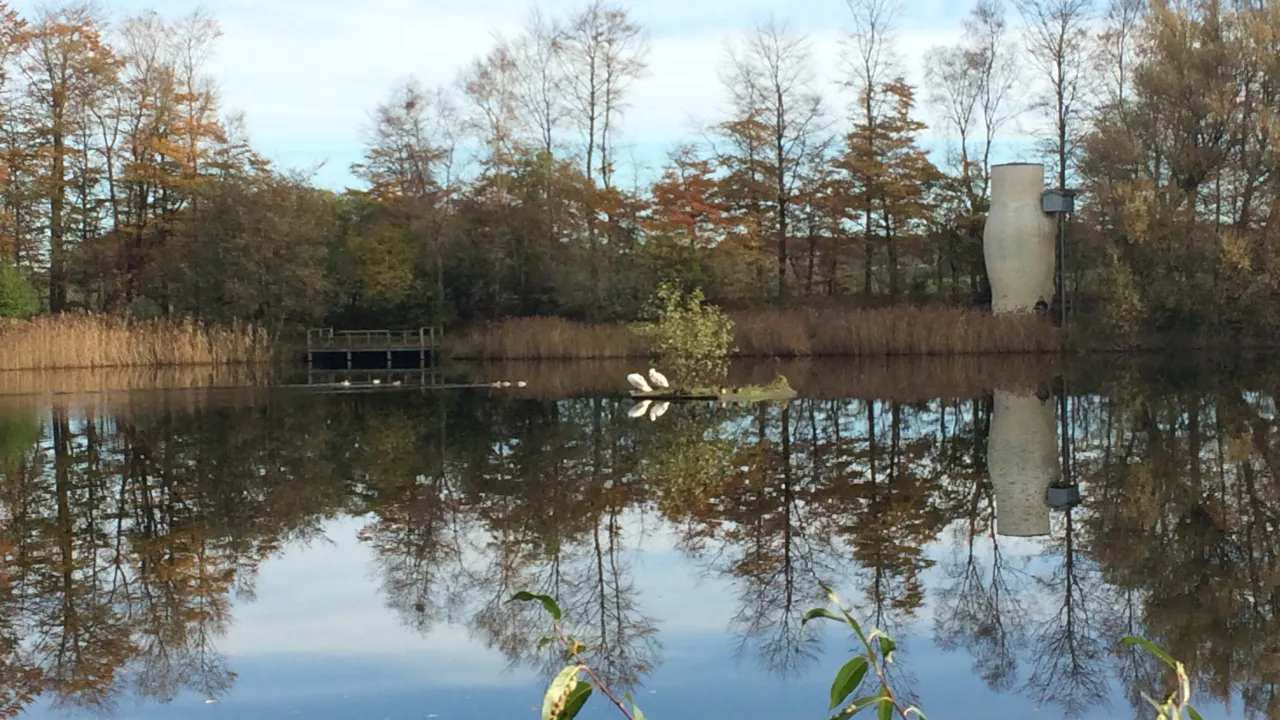 Lake Autumm