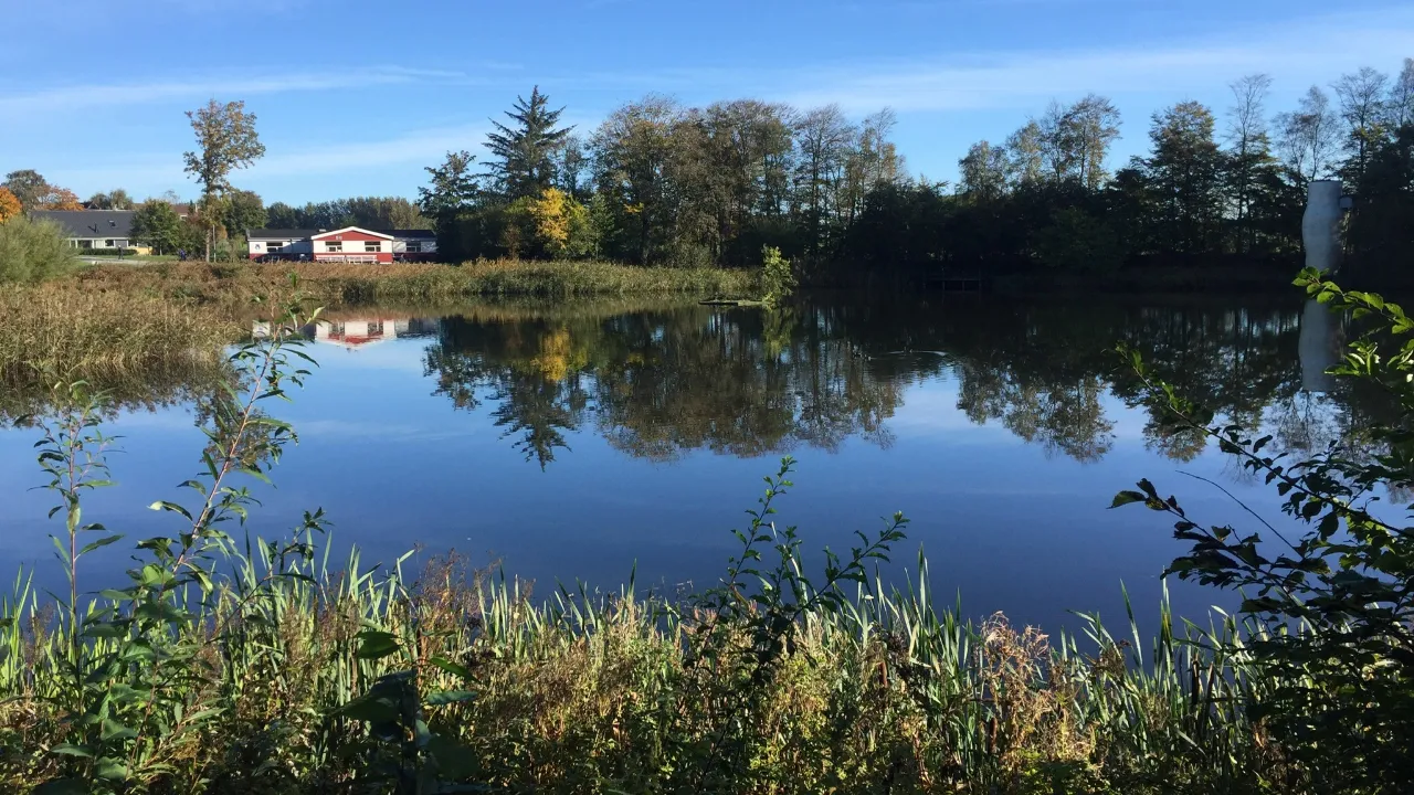 Lake summer